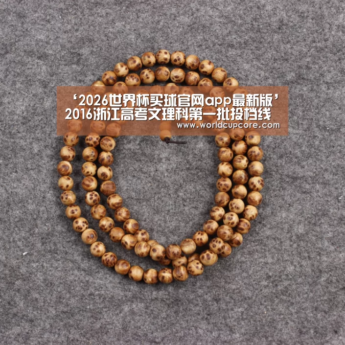 2026世界杯买球官网