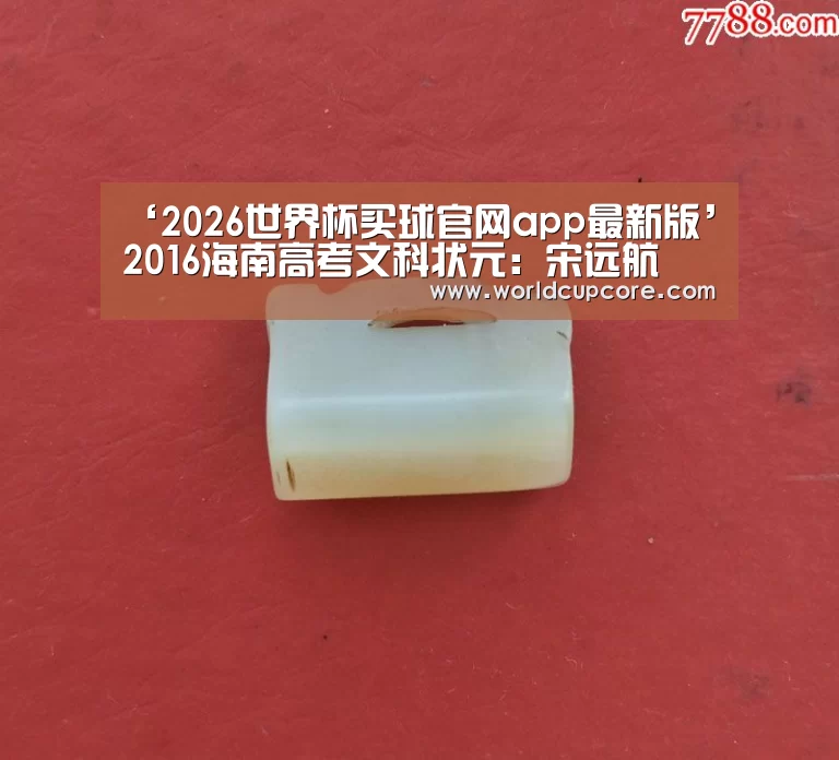 ‘2026世界杯买球官网app最新版’2016海南高考文科状元:宋远航(图3) 2026世界杯买球官网app最新版