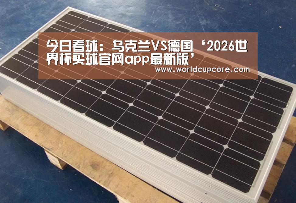 2026世界杯买球官网