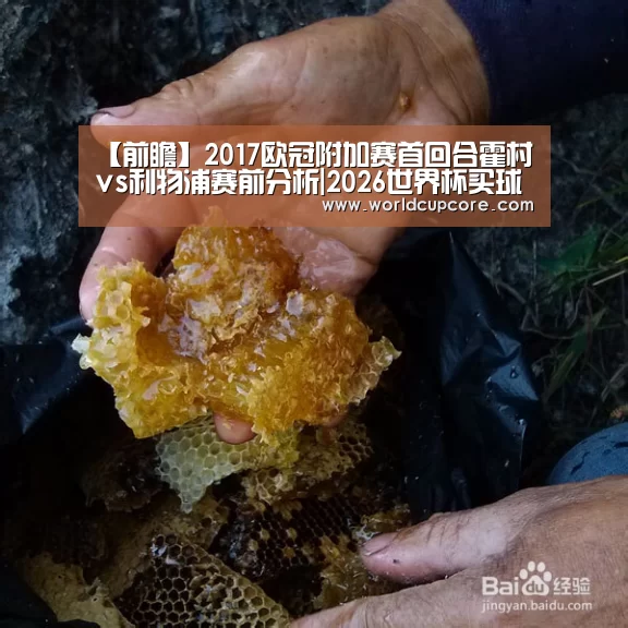 2026世界杯买球官网
